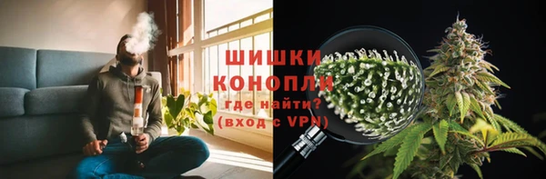 ПСИЛОЦИБИНОВЫЕ ГРИБЫ Алзамай