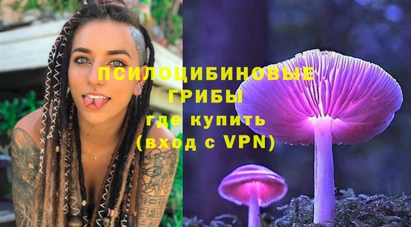 дурь Алексеевка