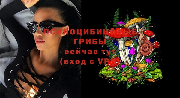 ПСИЛОЦИБИНОВЫЕ ГРИБЫ Алзамай