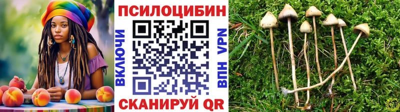 Галлюциногенные грибы прущие грибы hydra онион Омутнинск